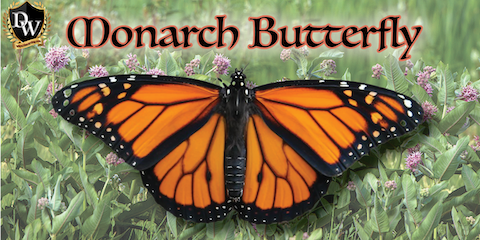 Stone Cabin 24 hrs mechanical clocks